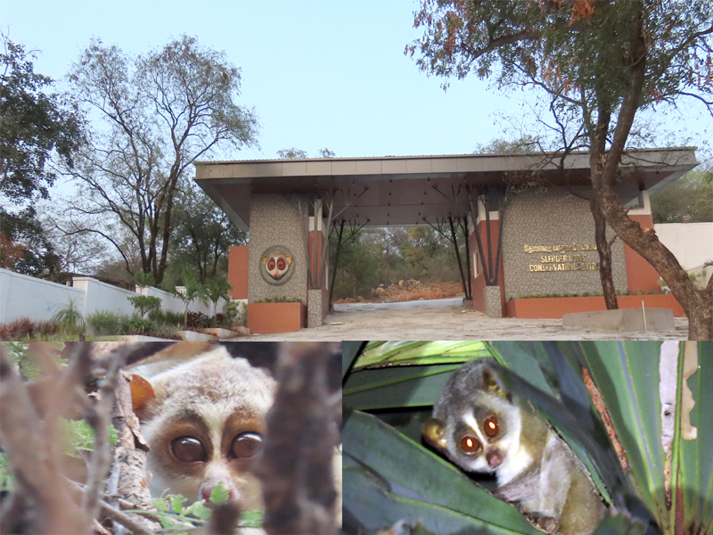 Wildlife Conservation and Management