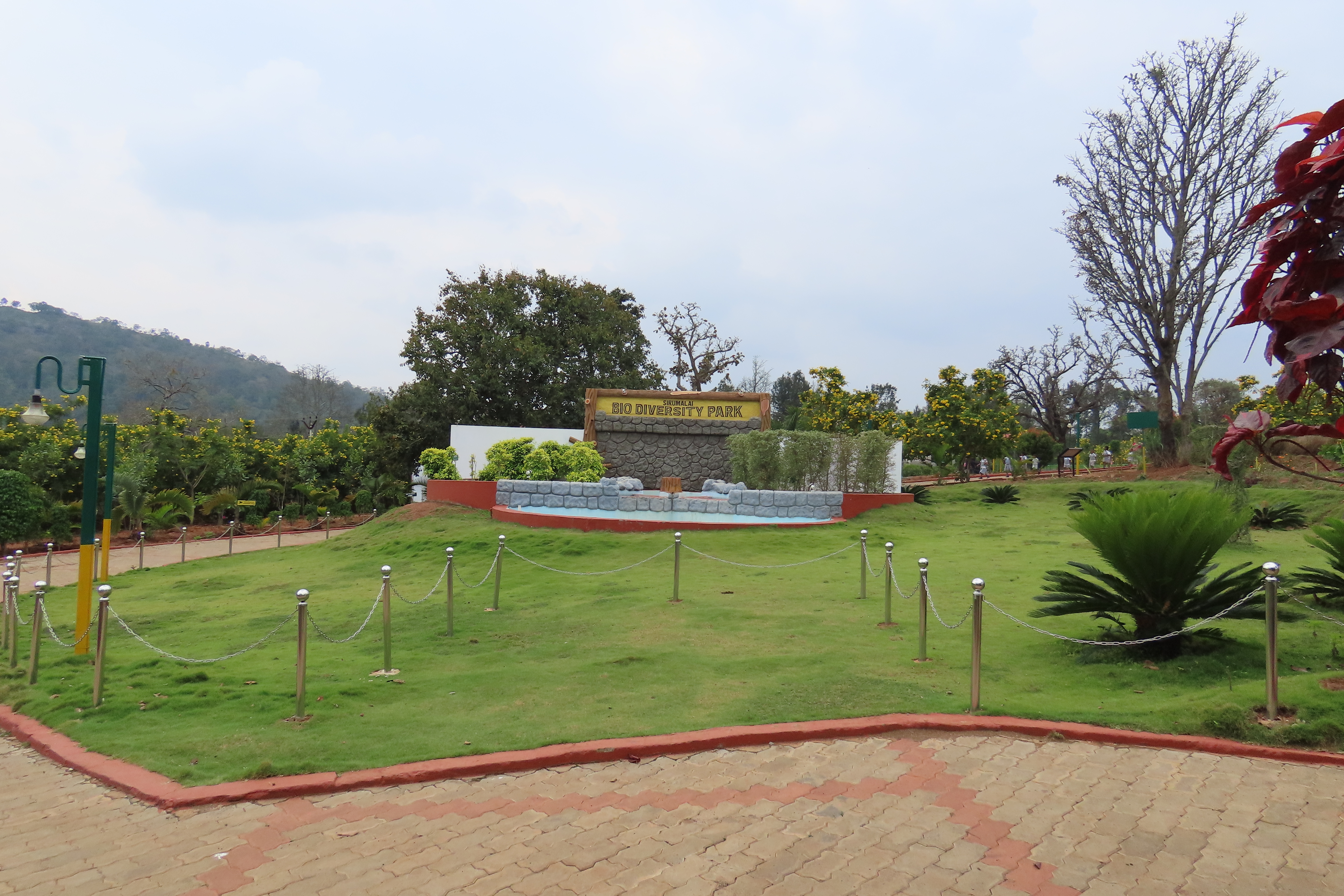Eco-Development, Eco-Tourism, and Outreach
