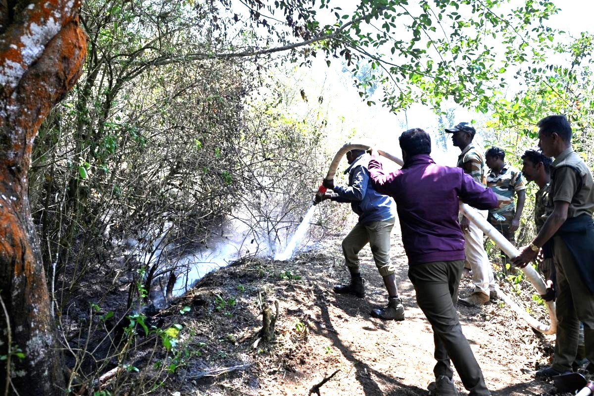 Forest Protection and Management